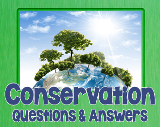Conservation q & a